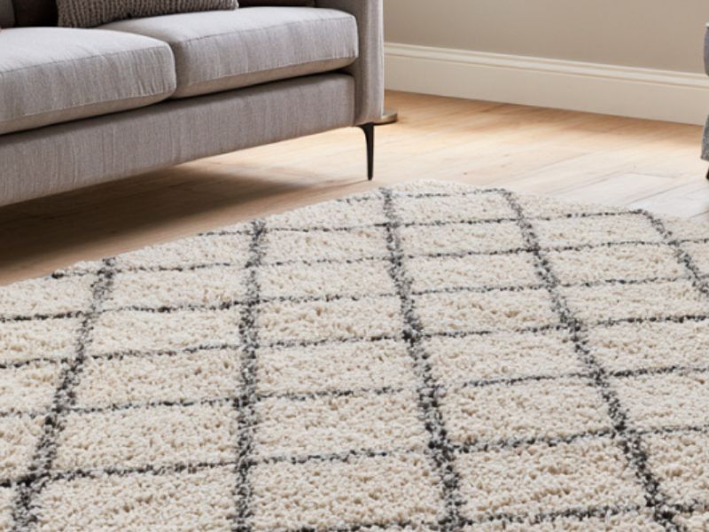 how-often-should-you-have-your-carpets-professionally-cleaned-in-greeley-co