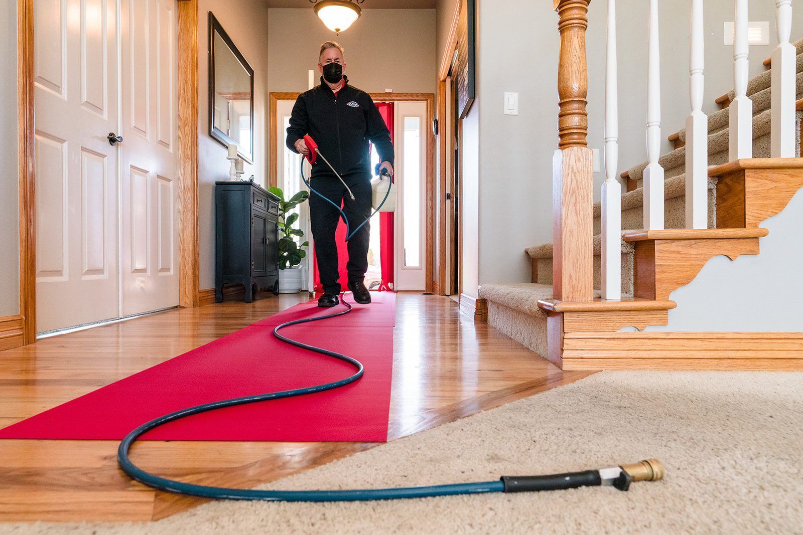 How to Protect Your Carpet and Upholstery 